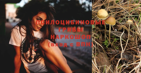 таблы Аркадак