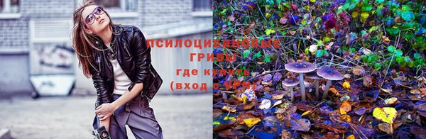 таблы Аркадак