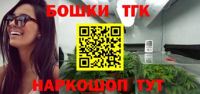 Альфа ПВП Аргун