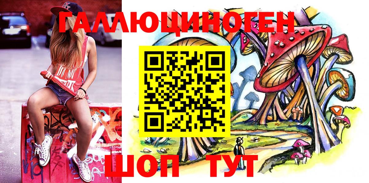 Псилоцибиновые грибы Psilocybe  Беслан 