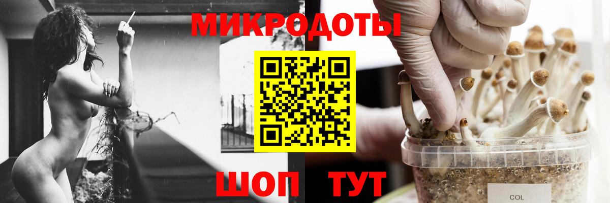 Беслан  Галлюциногенные грибы MAGIC MUSHROOMS  Вход с VPN  Галлюциногенные грибы GOLDEN TEACHER 